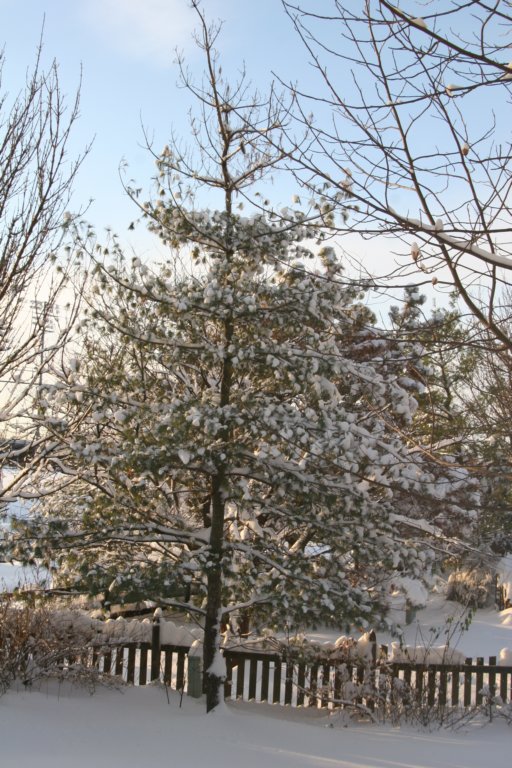 photo19.jpg